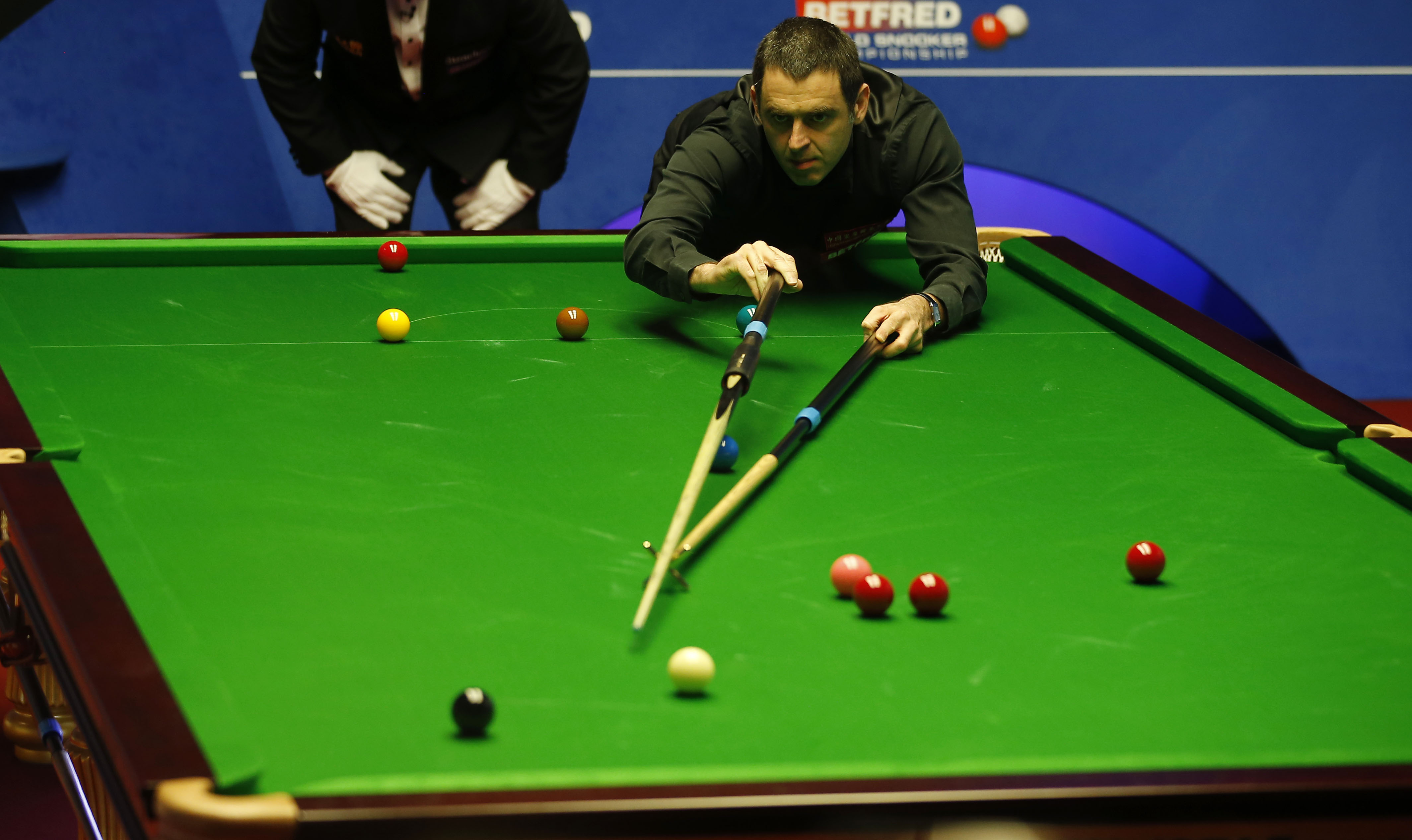 相信在沙欣 相信在沙欣