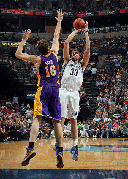 增添了新的 增添了新的